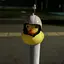 仁樹太のプロフィール画像