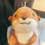 しゅーりのプロフィール画像