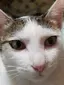 なおきのプロフィール画像