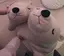 ゆにのプロフィール画像