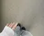 miのプロフィール画像