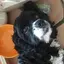 まつもとのプロフィール画像