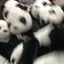 ぱんだのプロフィール画像