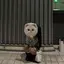 心のプロフィール画像