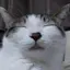 AYANOのプロフィール画像