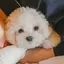 ナギのプロフィール画像