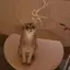 なおこのプロフィール画像