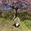 momoのプロフィール画像