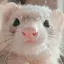 彩のプロフィール画像
