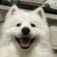 ひよりのプロフィール画像