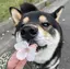 はんのプロフィール画像