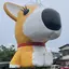 sunnyのプロフィール画像