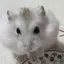 まりりのプロフィール画像