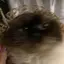 karinのプロフィール画像