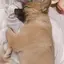 あずまのプロフィール画像