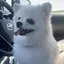 ♡のプロフィール画像