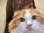 もものプロフィール画像