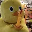 じむじむのプロフィール画像