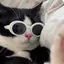 いっちゃんのプロフィール画像