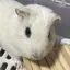 みののプロフィール画像
