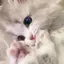 もものプロフィール画像