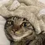 かぴばらのプロフィール画像