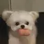 るんのプロフィール画像