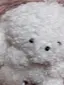 Shiroのプロフィール画像