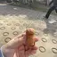 めぐのプロフィール画像
