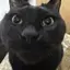 おむのプロフィール画像