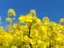 ひぃちゃんのプロフィール画像