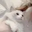 hのプロフィール画像