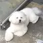みやんのプロフィール画像