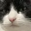 ちるだのプロフィール画像