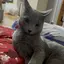 ゆこのプロフィール画像