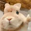 ずちゃんのプロフィール画像