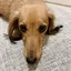 Kのプロフィール画像