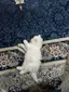 まきのプロフィール画像