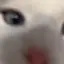 凛里のプロフィール画像