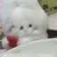 ♡のプロフィール画像