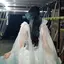 りんのプロフィール画像
