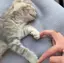食べてるのプロフィール画像