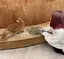 ゆりかのプロフィール画像