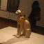 どりのプロフィール画像