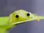 まいこのプロフィール画像