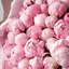 MARIEのプロフィール画像