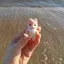 さきちゃんのプロフィール画像