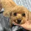 とっちゃんのプロフィール画像