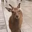 てるのプロフィール画像