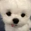 梨楓のプロフィール画像